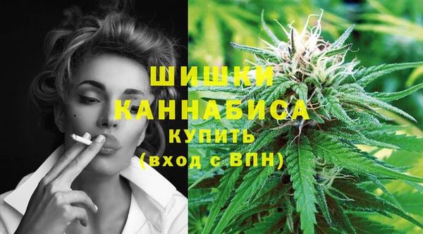 spice Бугульма
