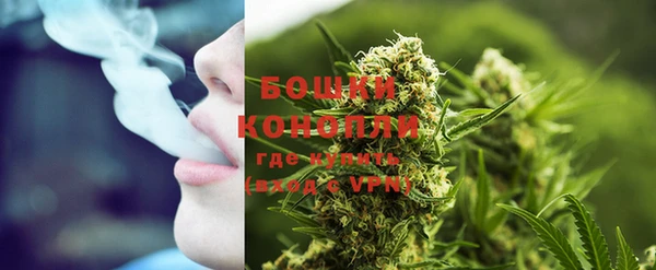 ешки Бронницы