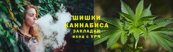 ешки Бронницы
